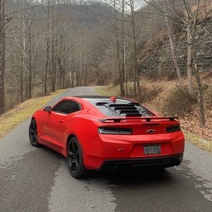 Meet your Posher, Dakota